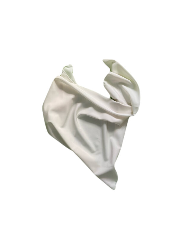 IMG_9743 Bandana nube perla